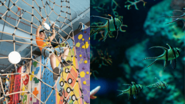 Adventure Park + Marassi Aquarium & Underwater Zoo - Combo
