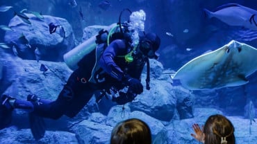 Marassi Aquarium & Underwater Zoo Tickets