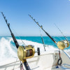 Trolling in Ocean for Big Fish